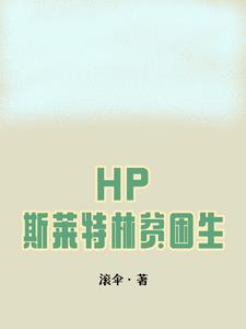 HP：斯莱特林贫困生